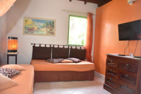 Gite d'Arles Bungalow 